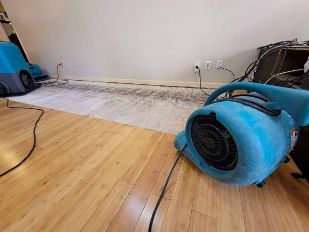 Professional Emergency Water Damage technician working in Transfer, PA